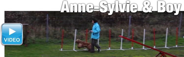 20141122 agility anne sylvie boy